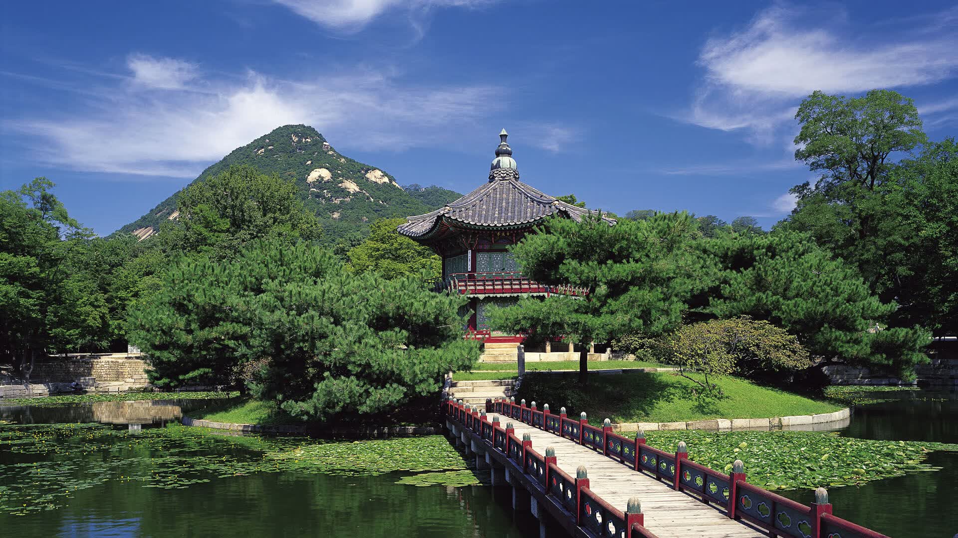 世界拳击锦标赛赛场急救响应标准化手册发布，世界拳击锦标赛游戏